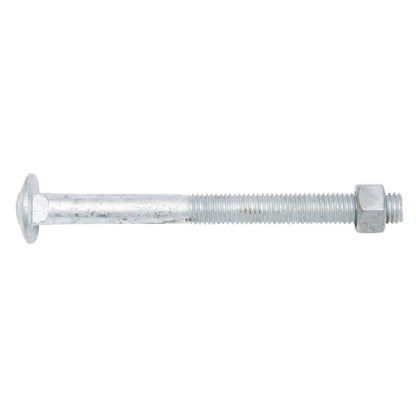 Zenith Hot Dip Galvanised Cup Head Bolts & Nuts - M12 x 140mm - 12 Pack