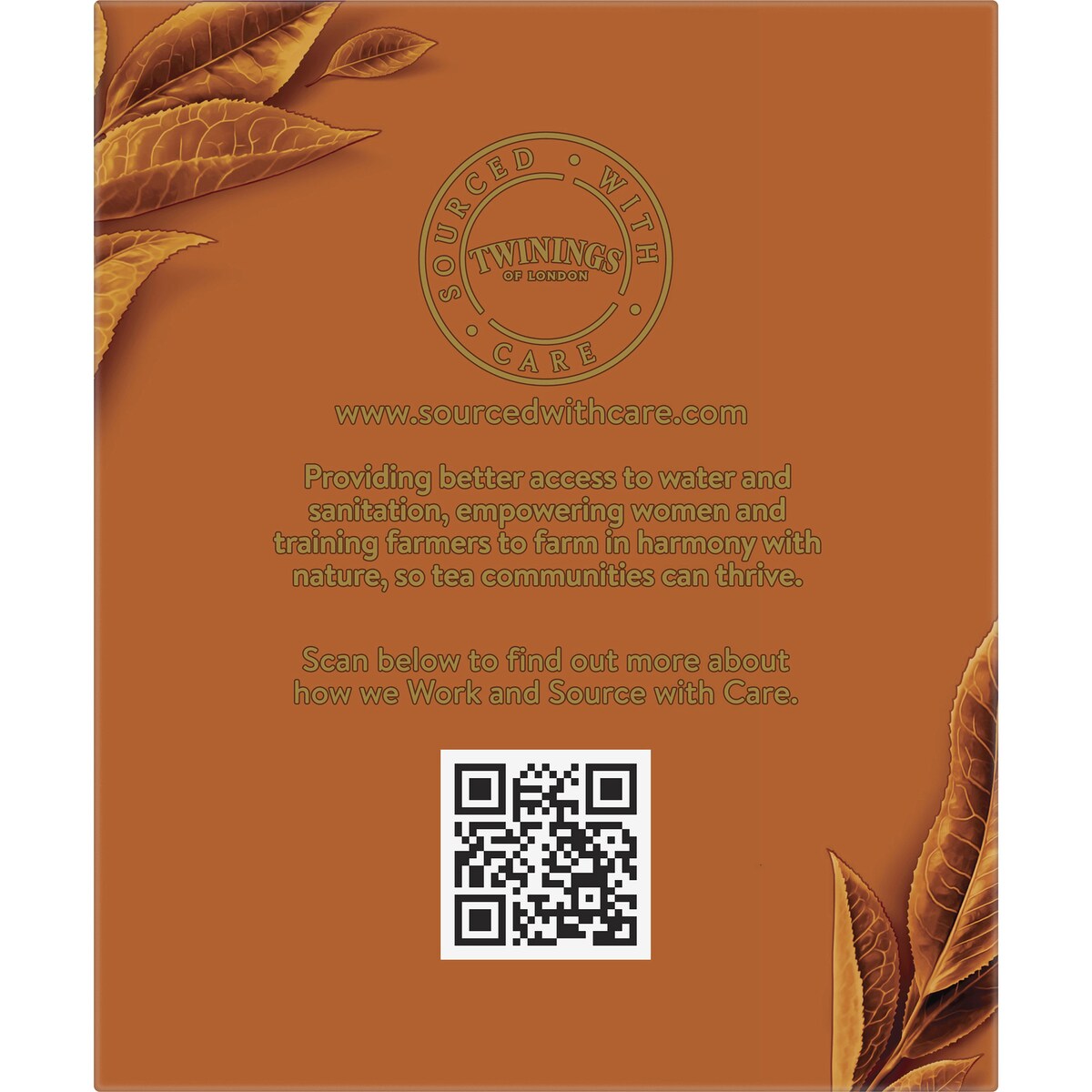 Twinings Australian Afternoon Black Tea Bags 10 pack