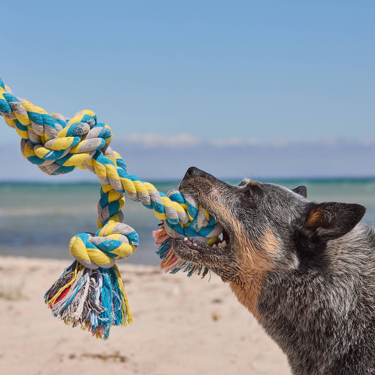 Happy Tails XL Rope Tug Toy