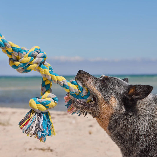 Happy Tails XL Rope Tug Toy