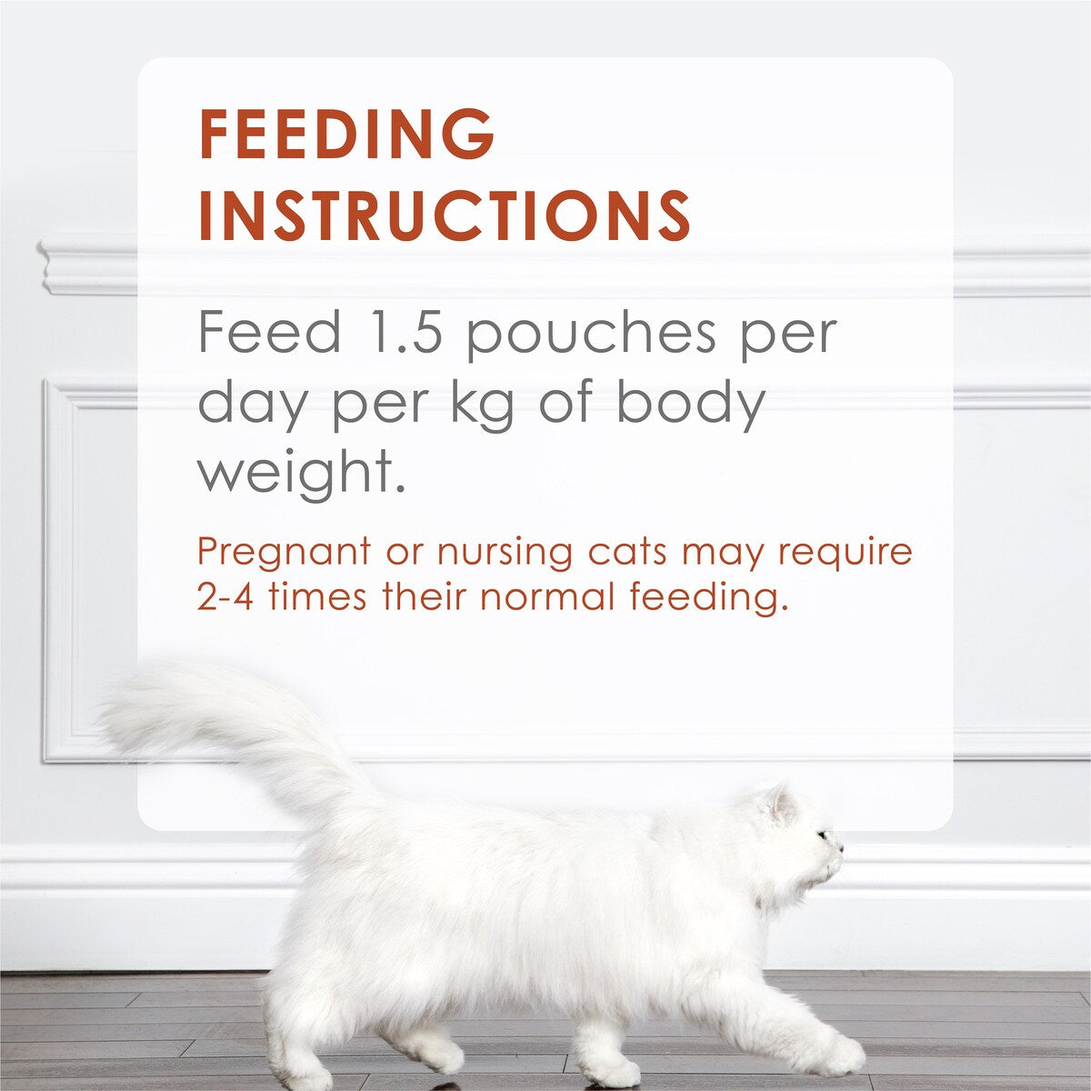 Fancy Feast Adult Inspiration Salmon & Tuna Collection Wet Cat Food 70g X12 Pack
