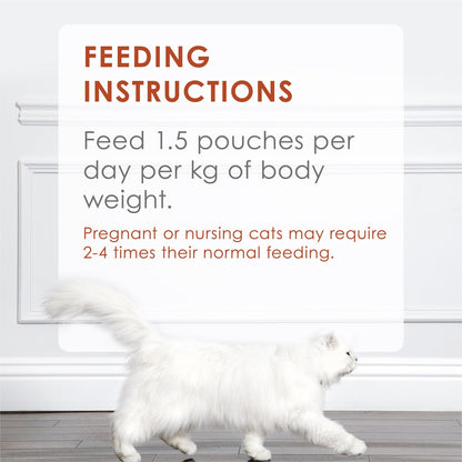 Fancy Feast Adult Inspiration Salmon & Tuna Collection Wet Cat Food 70g X12 Pack