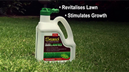 Seasol Lawn Fertiliser - 2 x 2L