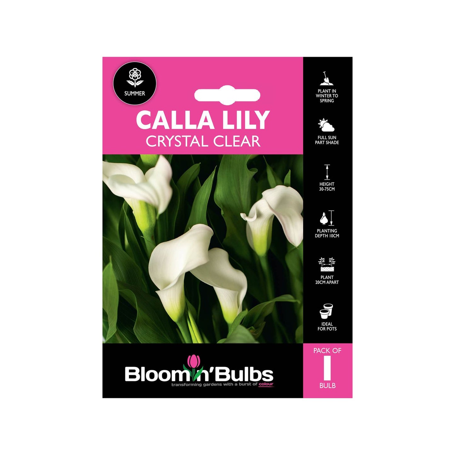 Calla Lily Crystal Clear - 1 Pack
