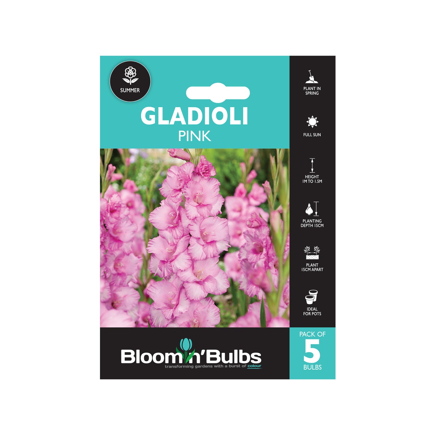 Bloomin Bulbs Gladioli - 5 Pack