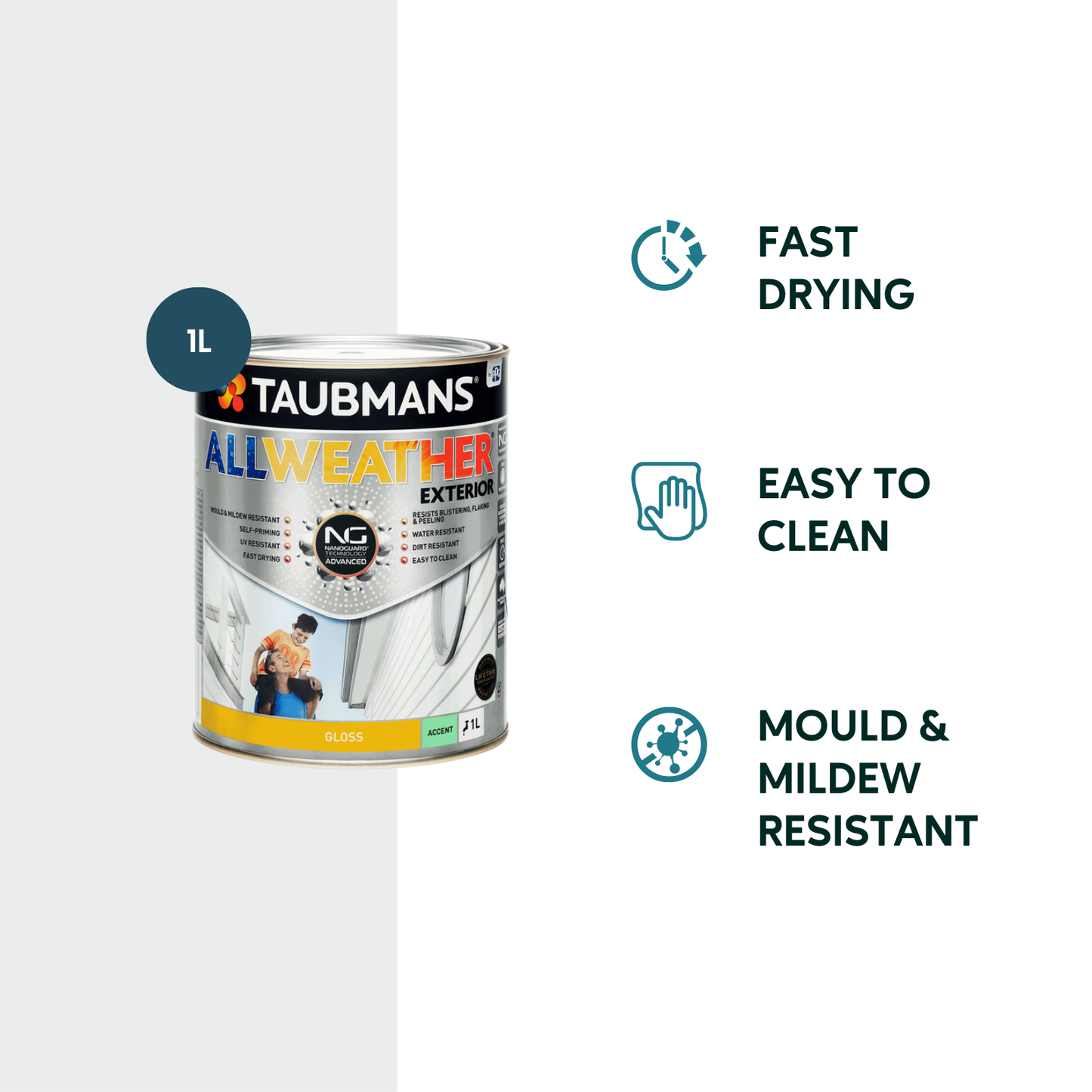 Taubmans All Weather Exterior Paint - 1L - Accent - Gloss