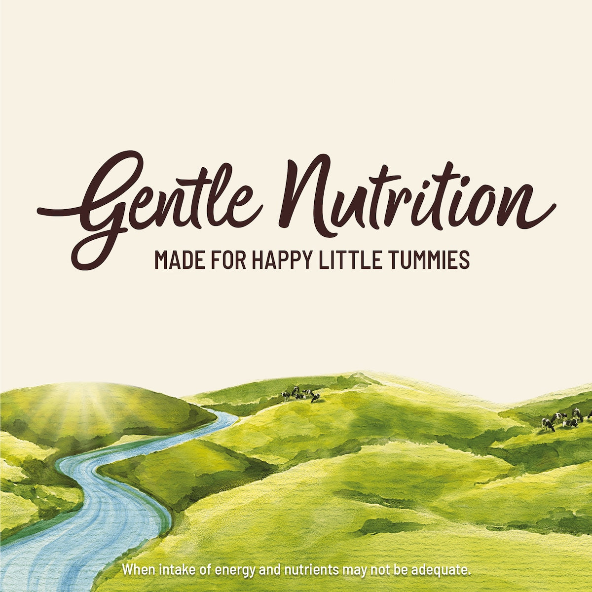 Karicare 4 Gentle Nutrition Toddler Milk Drink From 2+ Years 900g