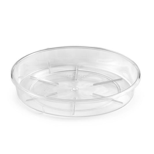 Eden Clear Porto Saucer - 200mm