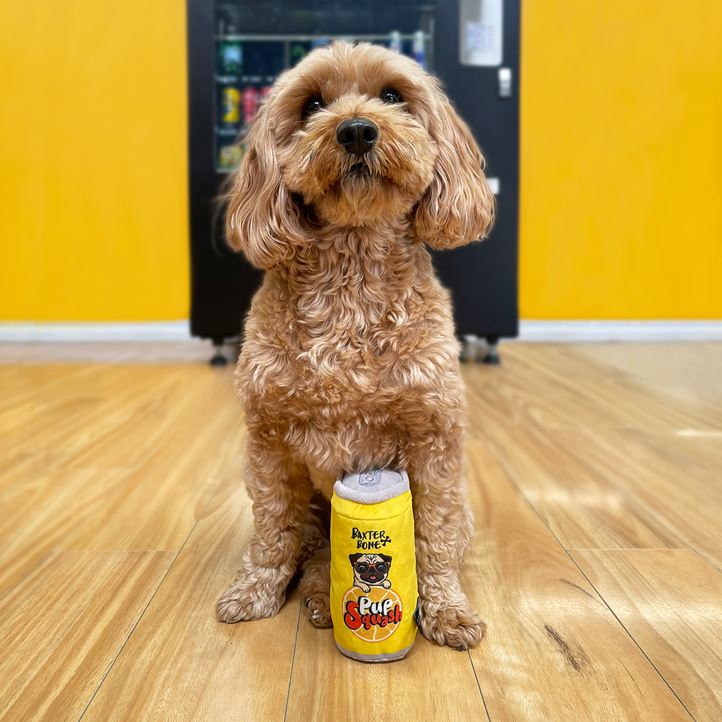 Baxter Bone Pup Squash Soda Can Pet Toy