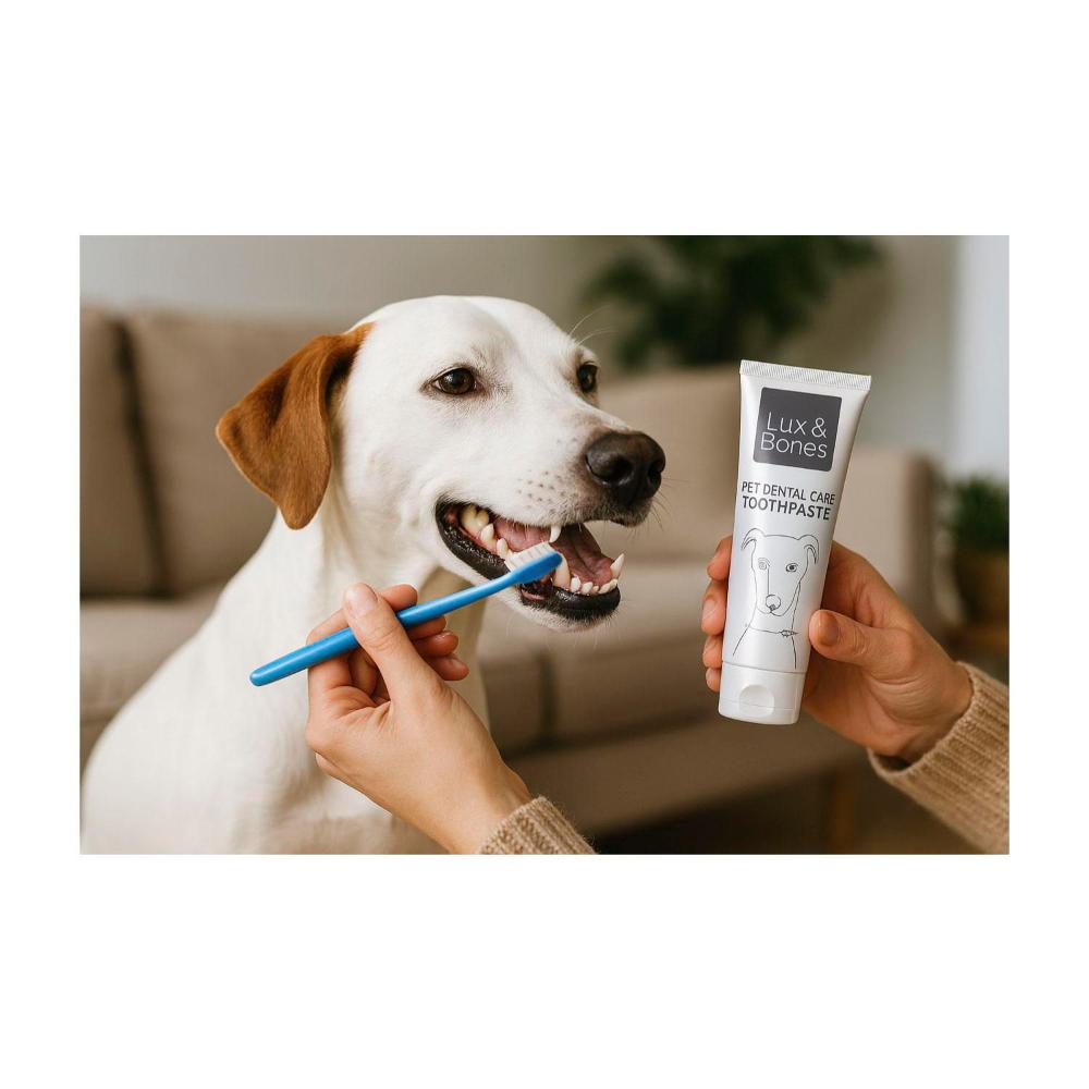 Lux & Bones Dental Toothpaste - 100mL