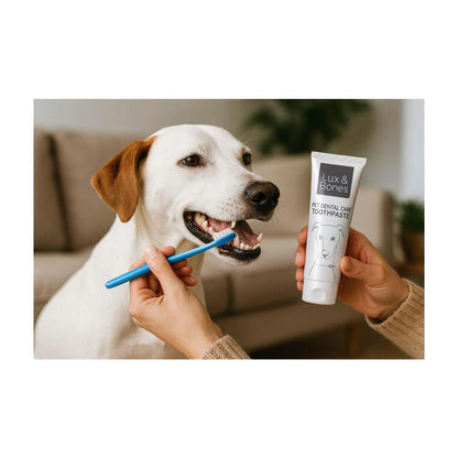 Lux & Bones Dental Toothpaste - 100mL
