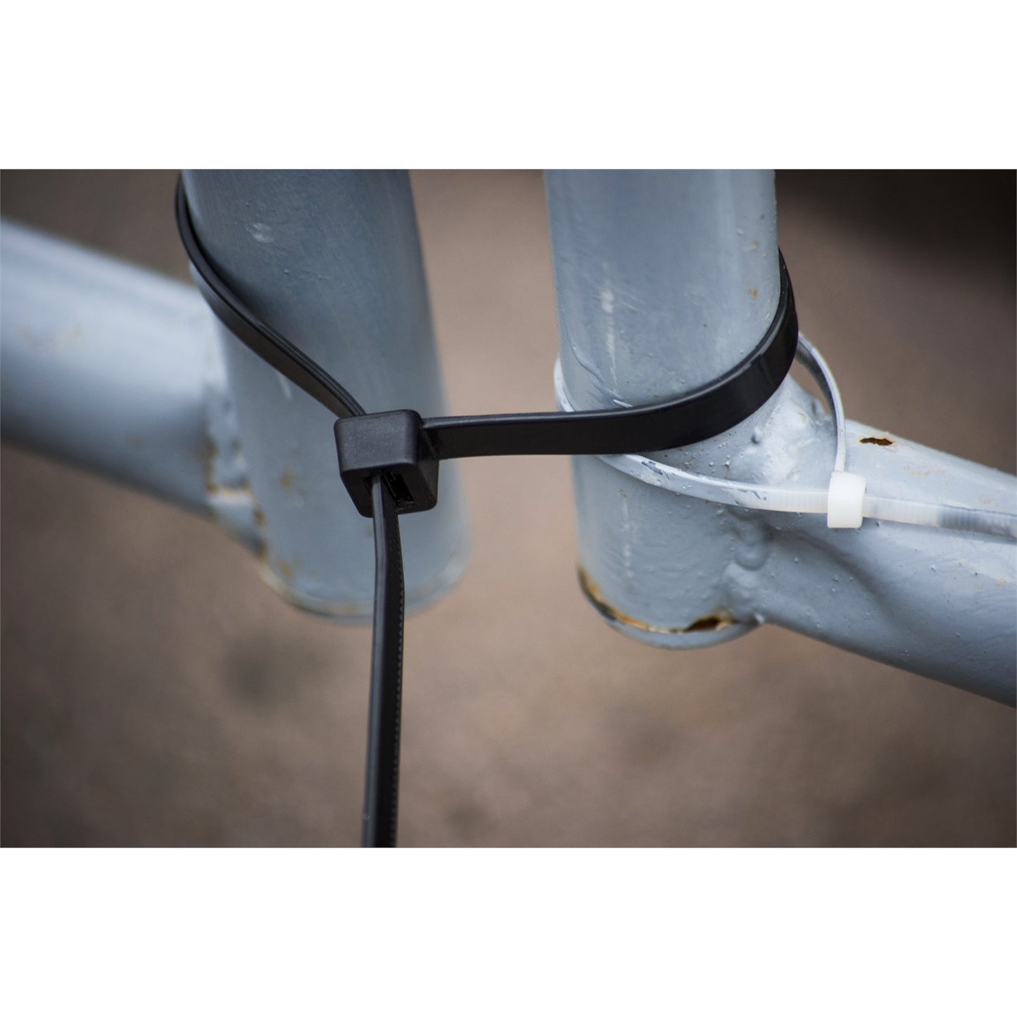 Crescent Black Cable Ties - 100mm x 2.5mm - 100 Pack