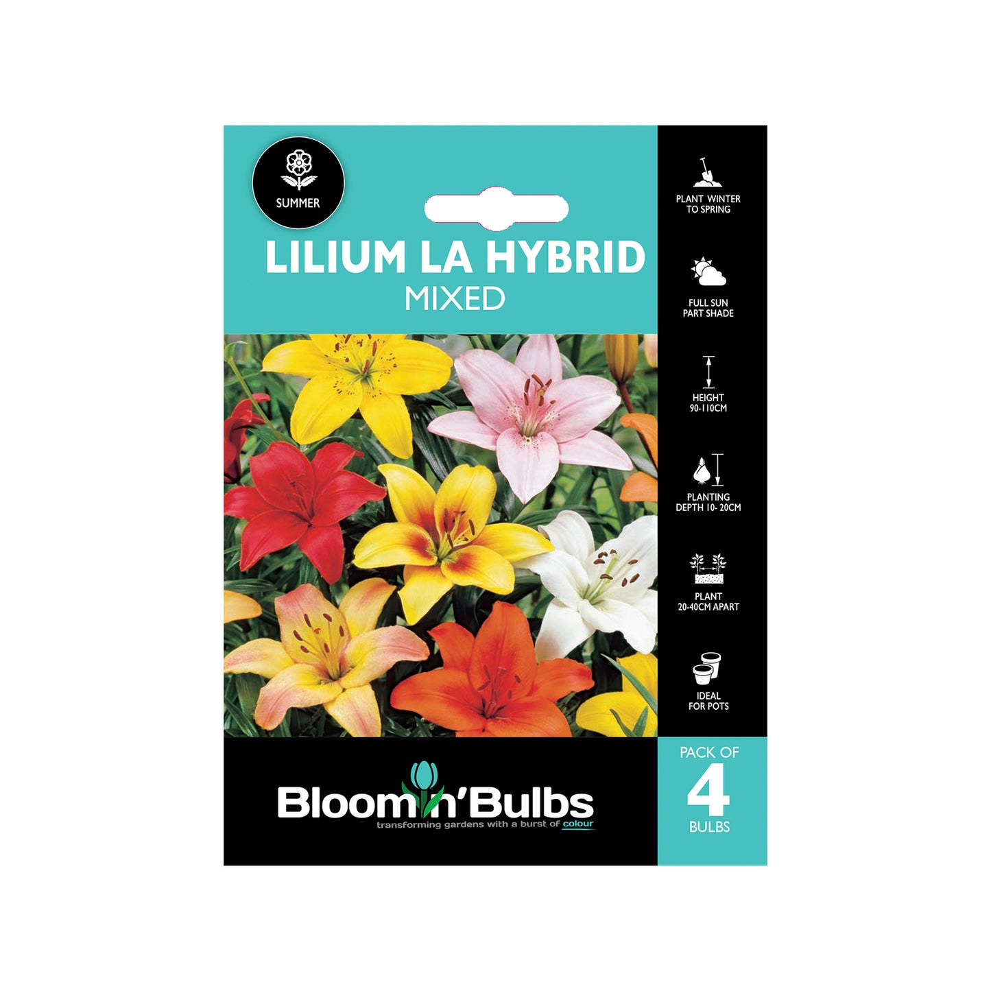Bloomin Bulbs Lilium Mixed - 4 Pack