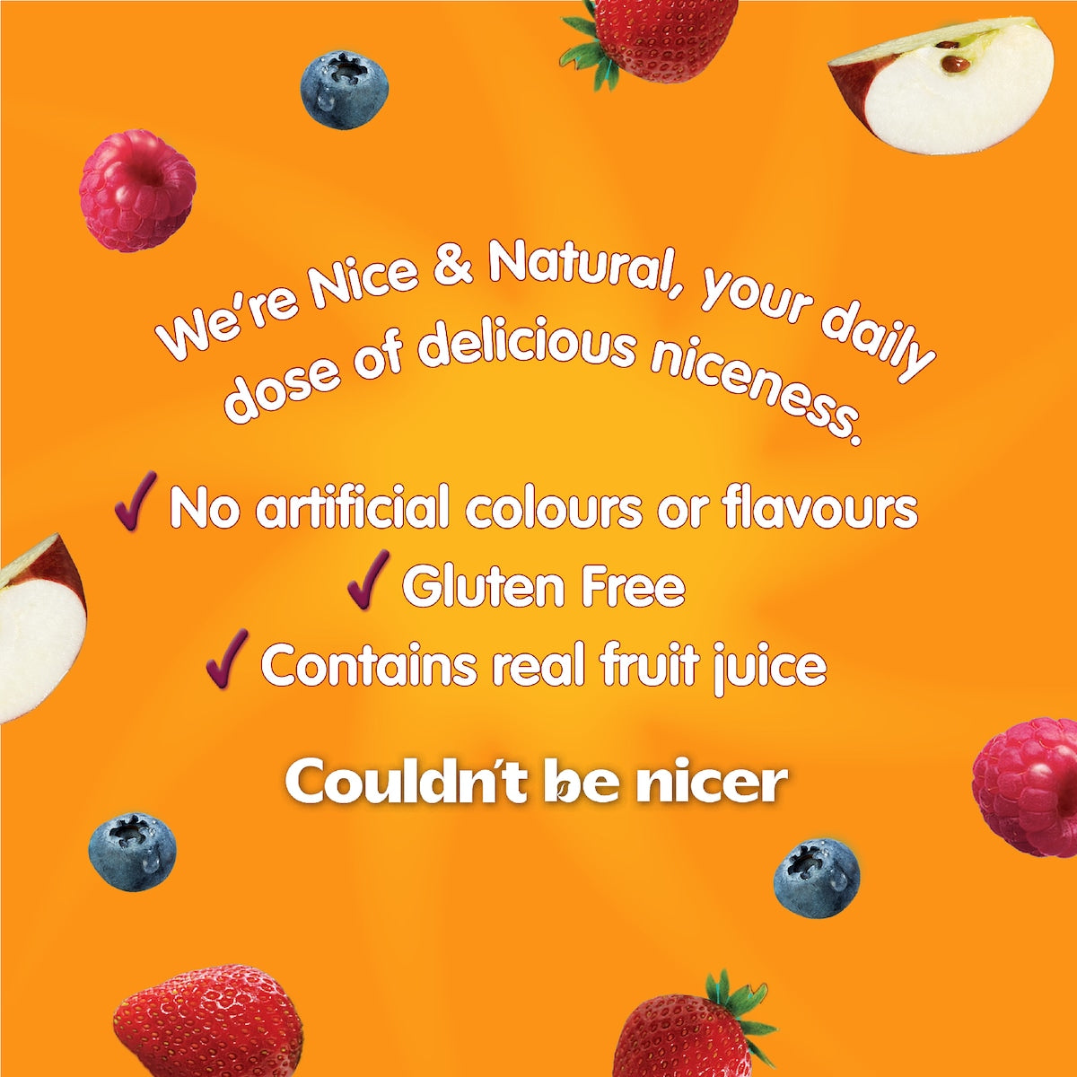 Nice & Natural Fruit Fun Mix Variety Multi 16 Pack
