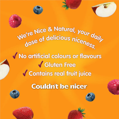 Nice & Natural Fruit Fun Mix Variety Multi 16 Pack