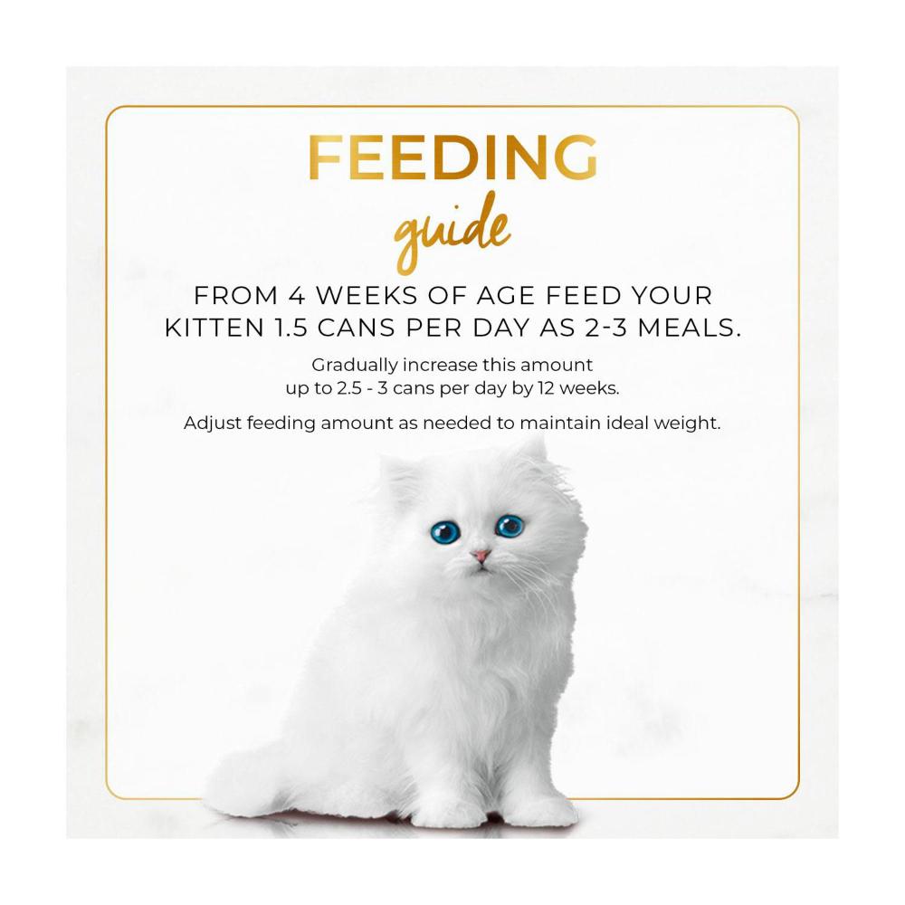 Fancy Feast Kitten Classic With Chicken Cat Food - 85g