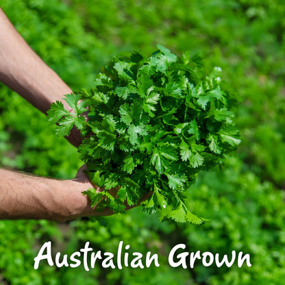 Gourmet Garden Coriander Lightly Dried 8g Sachet