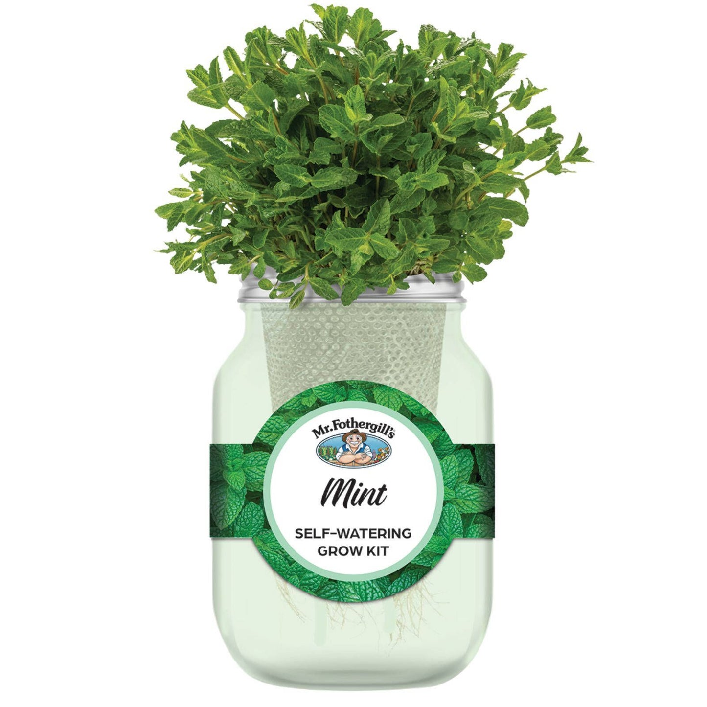 Mr Fothergill's Self Watering Mason Jar Grow Kit - Mint - 90 x 172mm - Green