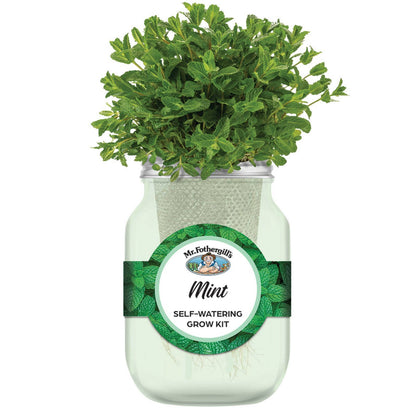 Mr Fothergill's Self Watering Mason Jar Grow Kit - Mint - 90 x 172mm - Green
