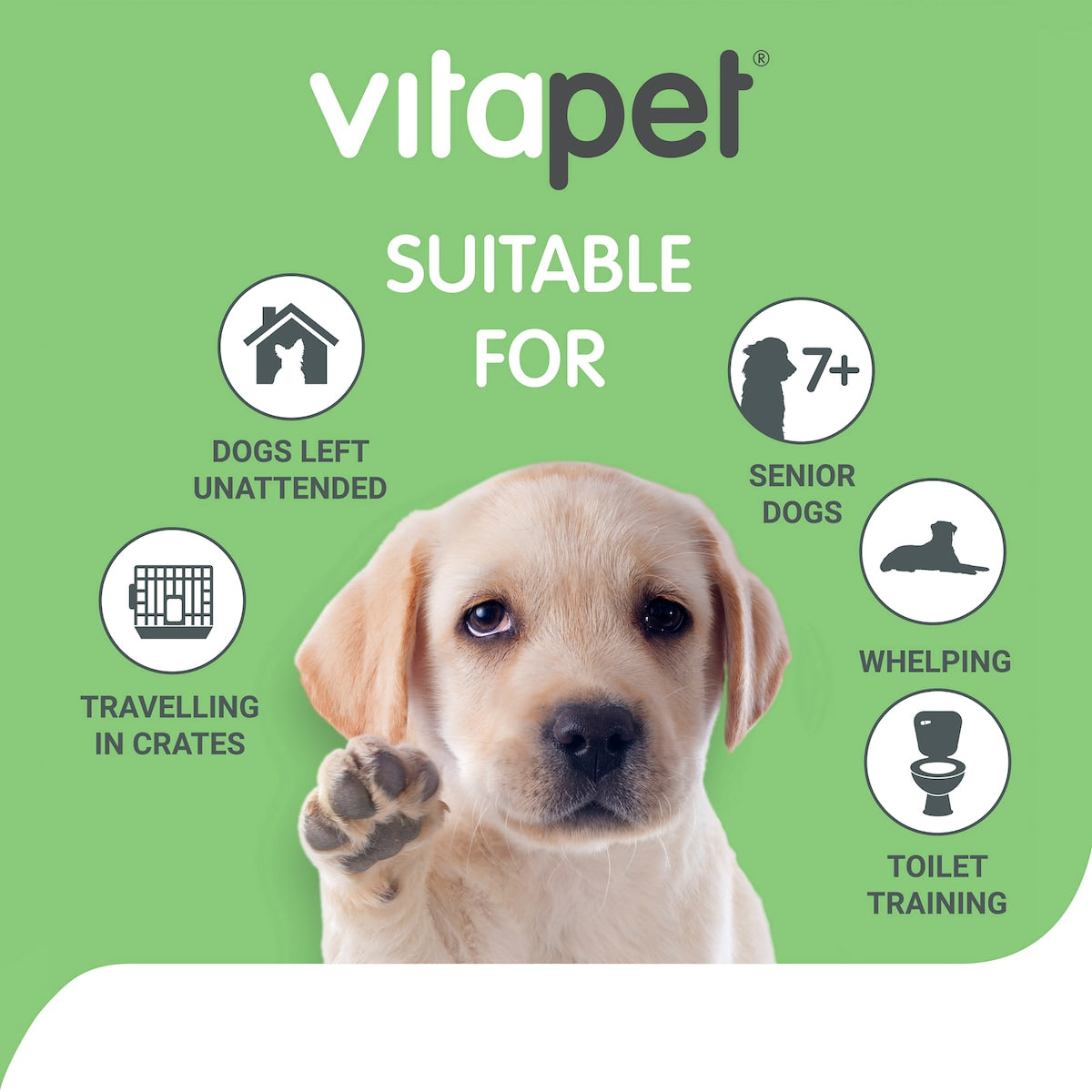 Vita Pet Training Pee Pads 7 Pack