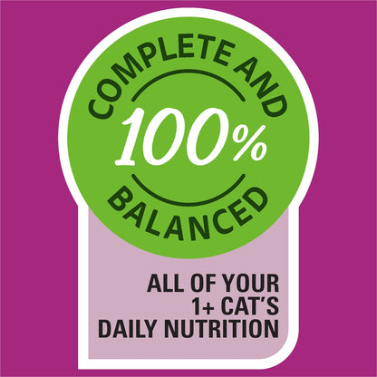Whiskas 1+ Years Wet Cat Food Favourites Beef In Gravy Pouch 85g X12 Pack