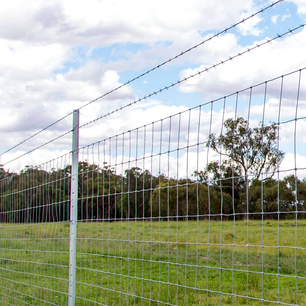 Jack Barbed Wire - 1.57mm x 100m - Galvanised - High Tensile