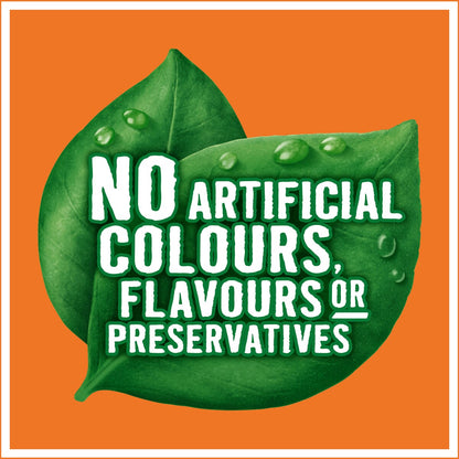 Golden Circle Fruit Drinks Mango Nectar 1L