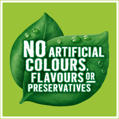 Golden Circle Fruit Drinks Pear Nectar 1L