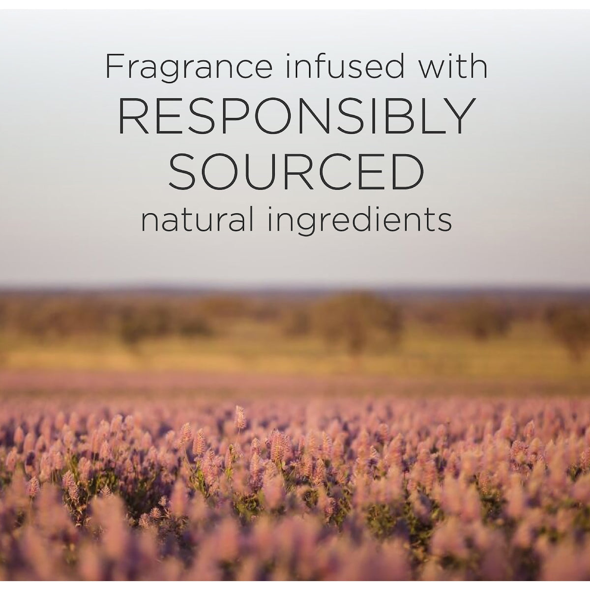 Botanica Island Rose & African Geranium Reed Diffuser 80ml