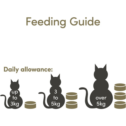 Applaws Tuna Fillet Tin Wet Cat Food 70g