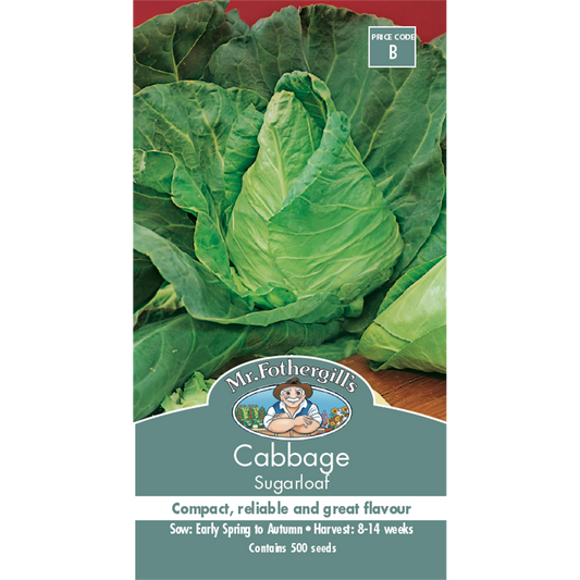 Mr Fothergill Sugarloaf Cabbage Seeds