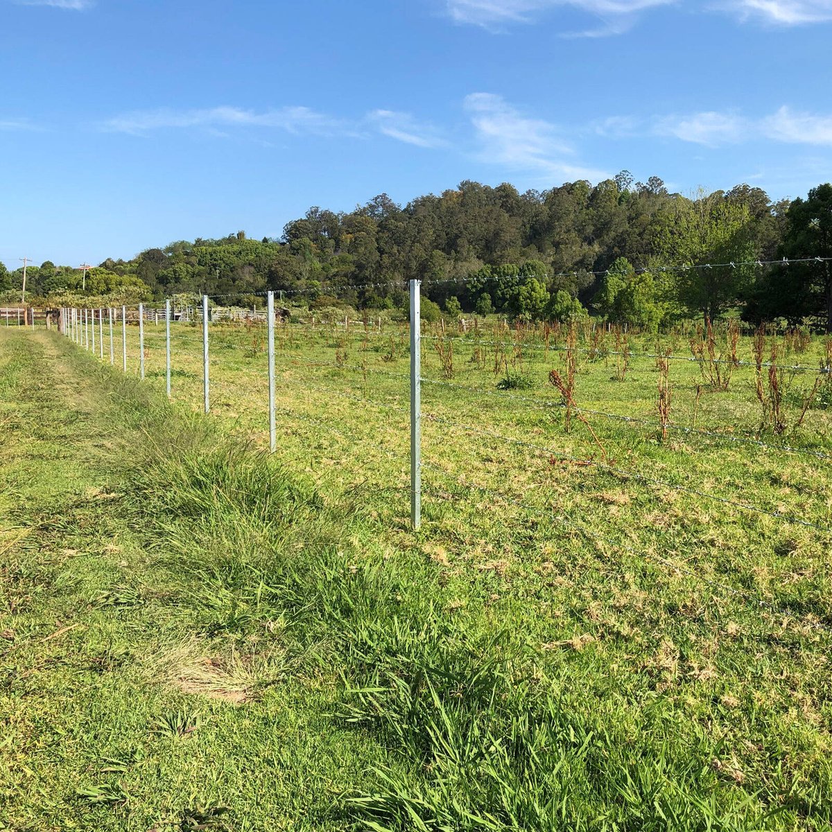 Jack Barbed Wire - 1.57mm x 100m - Galvanised - High Tensile