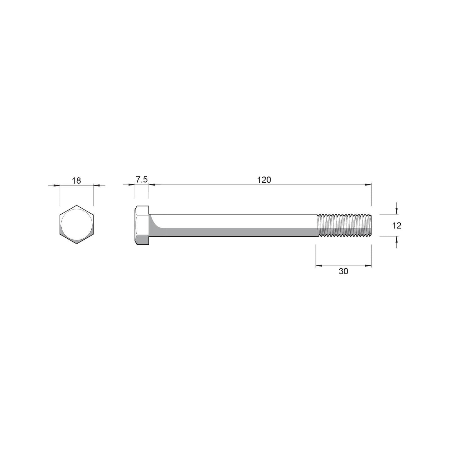 Zenith Hex Head Bolts & Nuts - M12 x 120mm - Stainless Steel 304 - 12 Pack