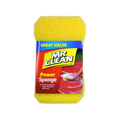 Mr Clean Power Sponge