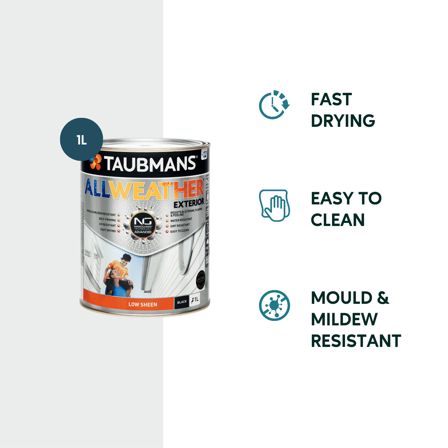 Taubmans All Weather Exterior Paint - 1L - Black - Low Sheen