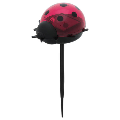 Click Solar Path Light Ladybug - 60 x 140mm - Red
