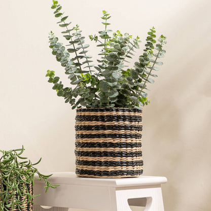 Astin Sinclair Striped Mini Planter - 140mm
