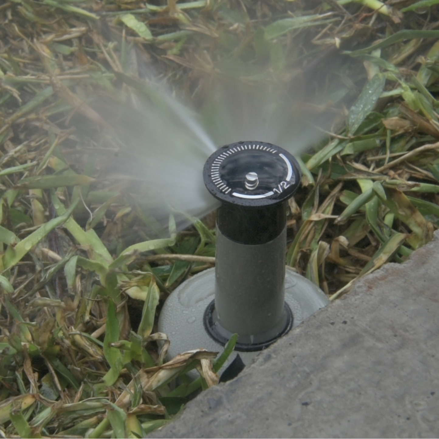 Pope Pop-Up Sprinkler - 50mm - 1/2 Circle