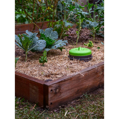 Tumbleweed Worm Buffet - 26L - Green