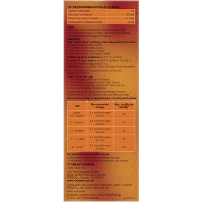 Hydralyte Electrolyte Ice Block Orange 16 Sachets