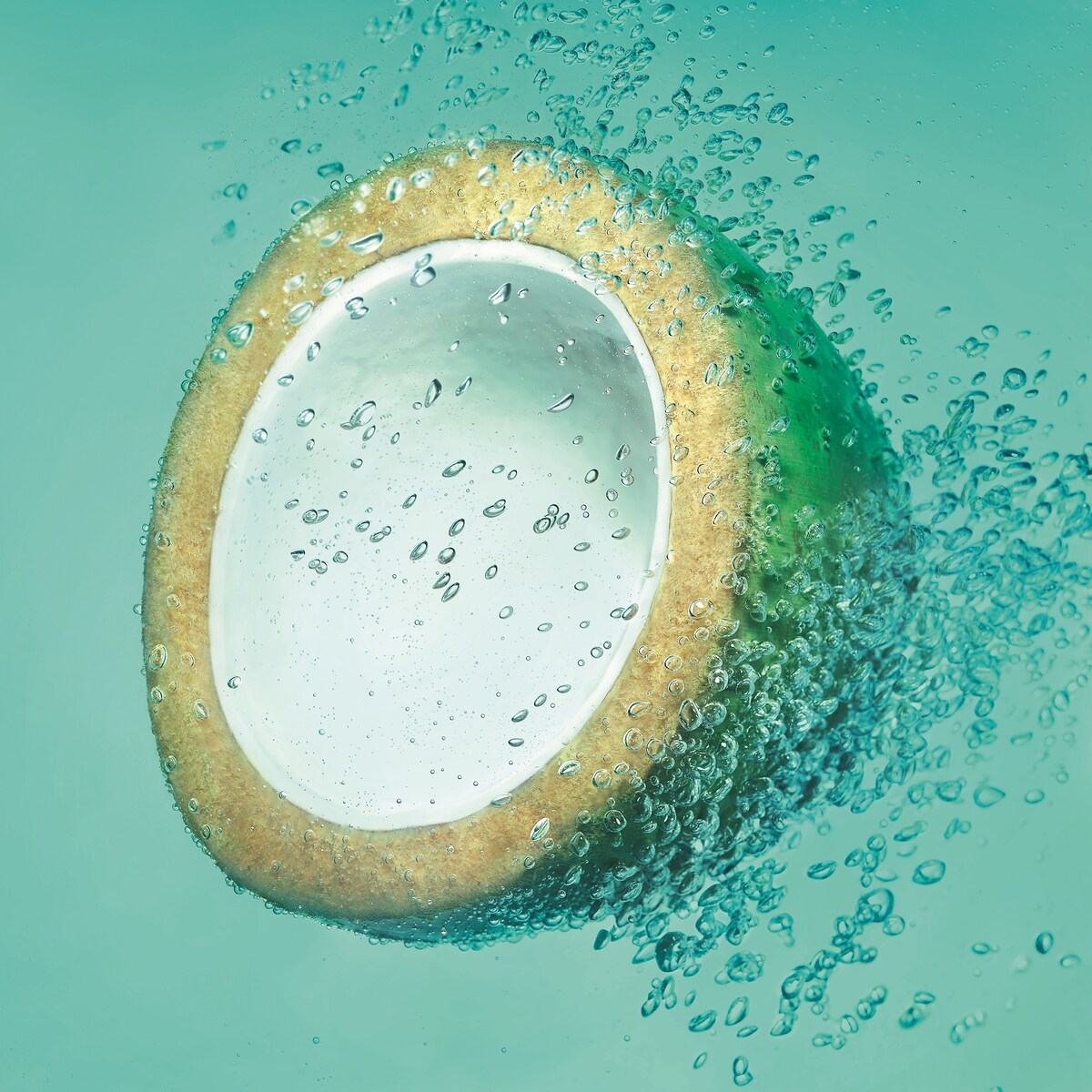 Garnier Fructis Coconut Water Shampoo Shampoo 850mL
