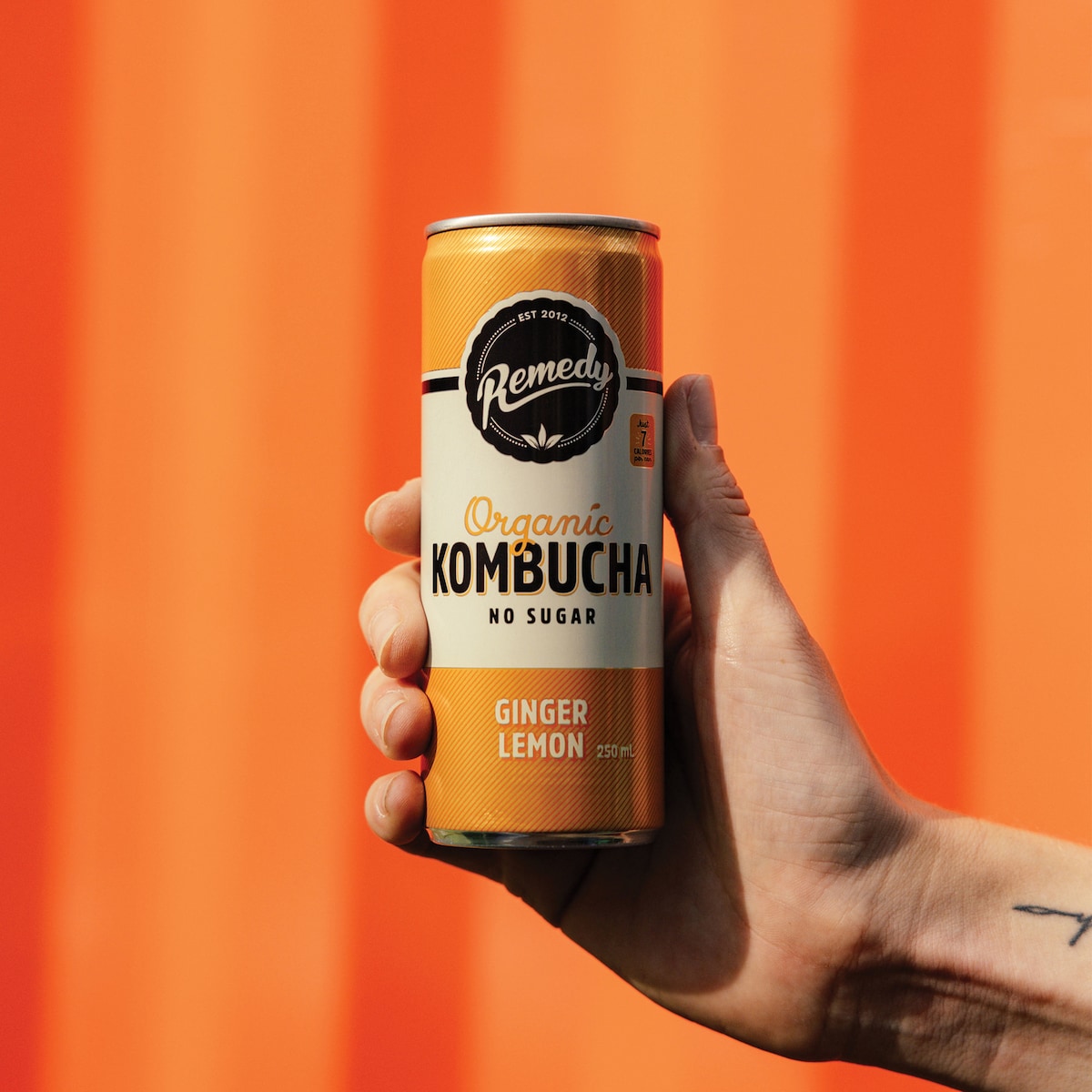 Remedy Lemon Ginger Kombucha 250ml X 4 Pack