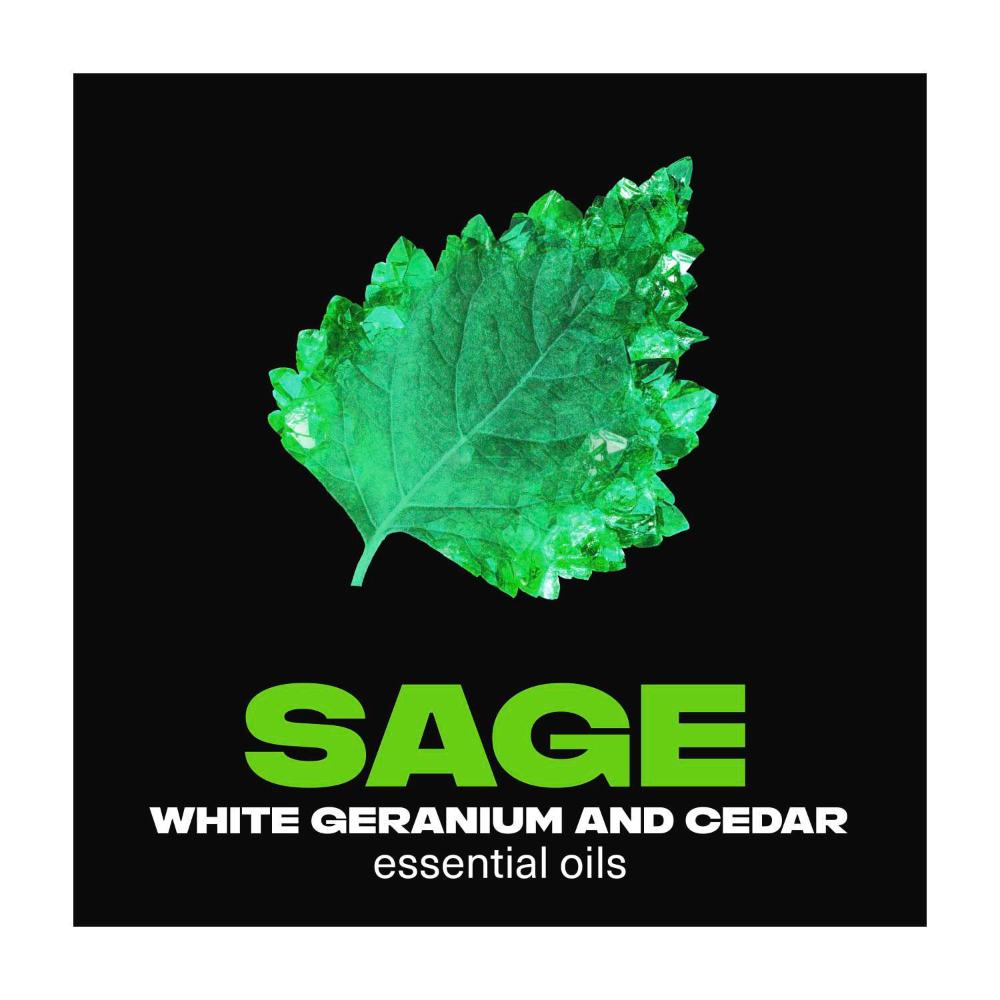 Lynx Aerosol Deodorant Emerald Sage - 150mL