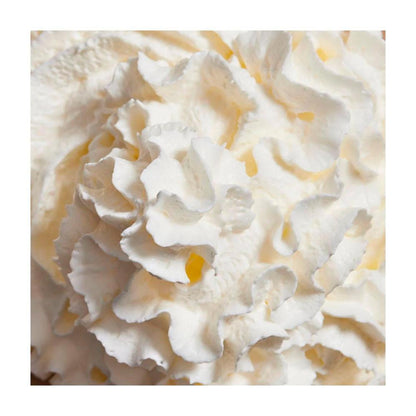 Daily Shake Vanilla Creme Meal Replacement Jar - 500g