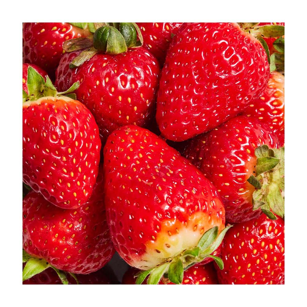 Daily Shake Strawberry Chessecake 10 Sachet Pack Meal Replacement - 10 pack