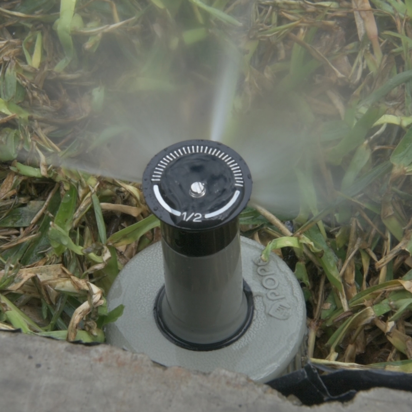 Pope Pop-Up Sprinkler - 50mm - 1/2 Circle