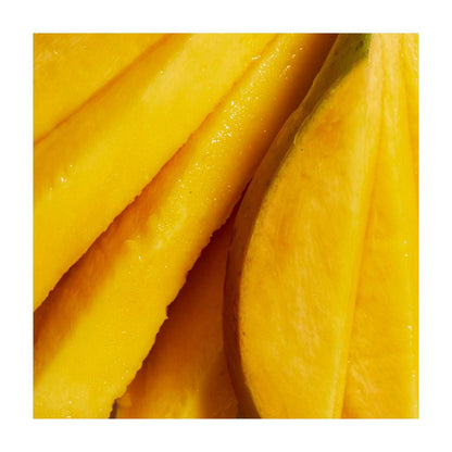 Daily Shake Mango Lassi 10 Single Sachet Pack Meal Replacement - 10 pack