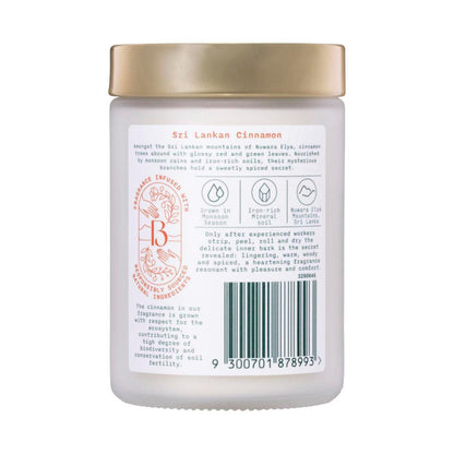 Botanica Origins Scented Candle Sri Lankan Cinnamon - 1 each