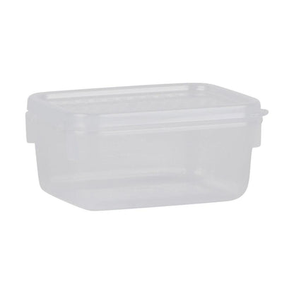 Decor Tellfresh Container Decor Tellfresh Container - 250ML