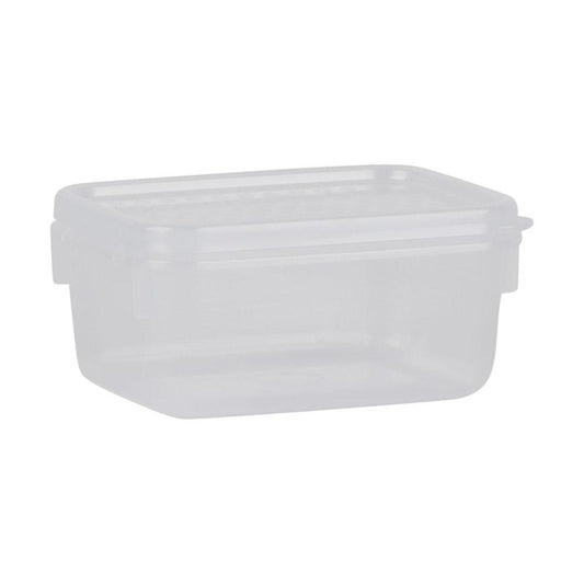 Decor Tellfresh Container Decor Tellfresh Container - 250ML